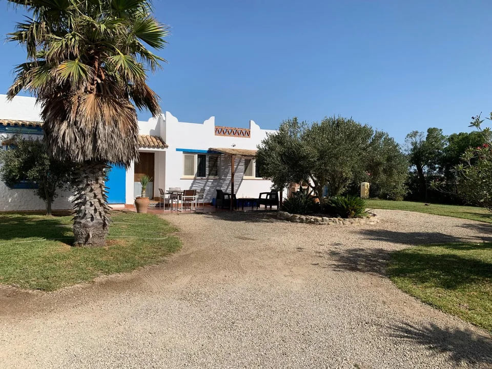 Entrada de Casa Poniente rodeada de palmeras, césped y olivos