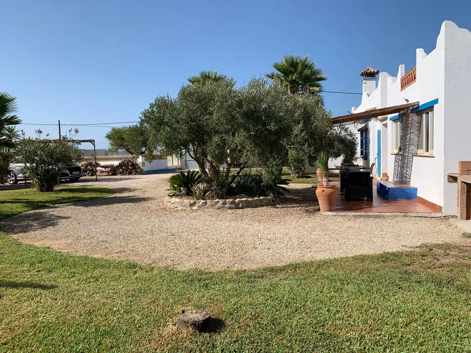 Olivo y zona exterior junto a la fachada blanca de Casa Poniente