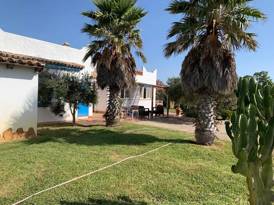 Palmeras y vegetación junto al exterior de Casa Poniente